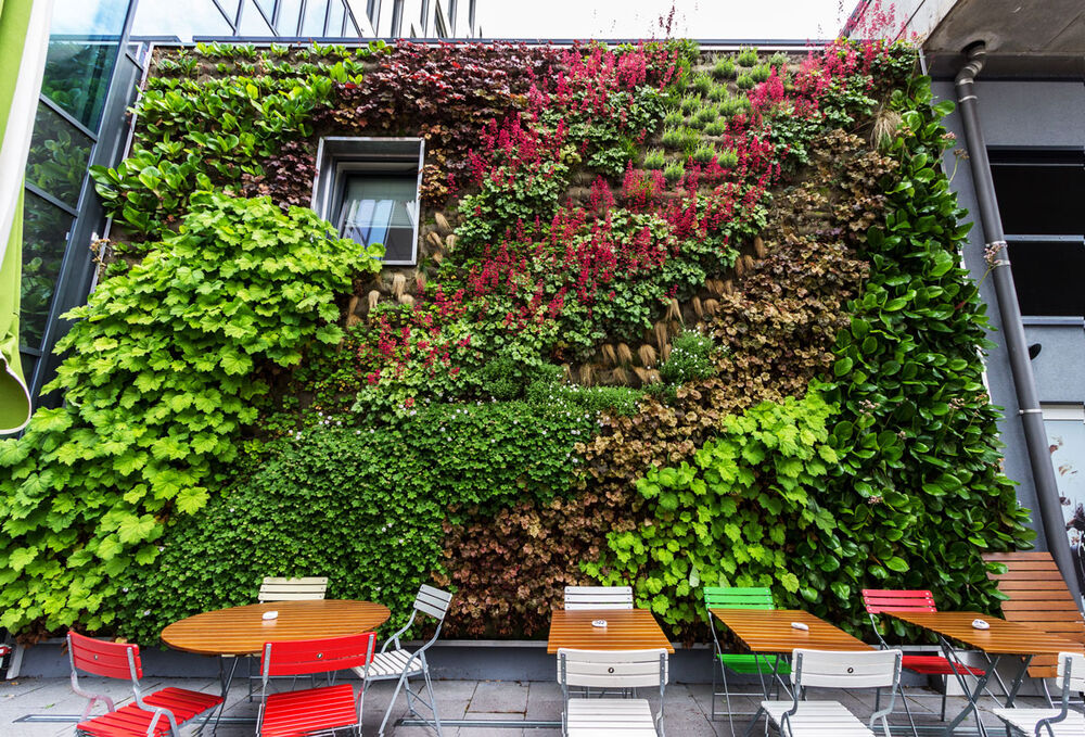 Begrünte Fassaden sind im Kommen – nicht nur, weil sie schön aussehen. (Foto: Skygardens)